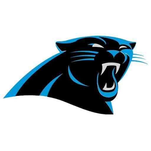 Carolina Panthers vs. Atlanta Falcons