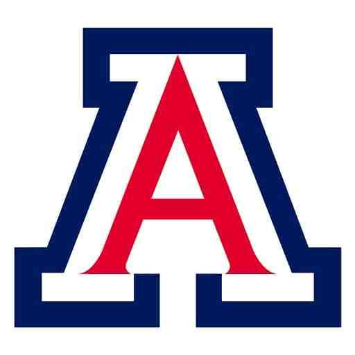 Arizona Wildcats vs. Texas Tech Red Raiders