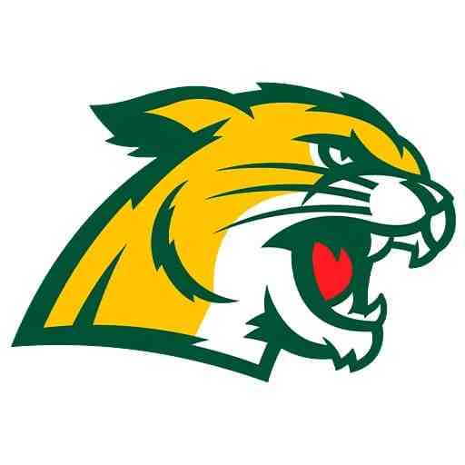 Northern Michigan Wildcats  vs. Saginaw Valley State Cardinals