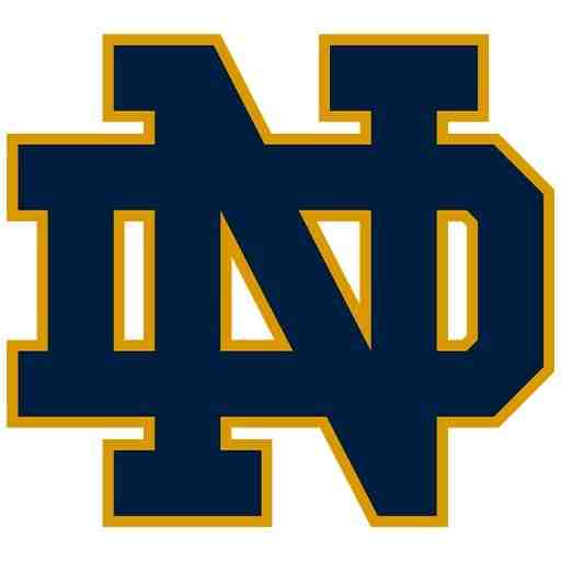 Georgia Tech Yellow Jackets vs. Notre Dame Fighting Irish